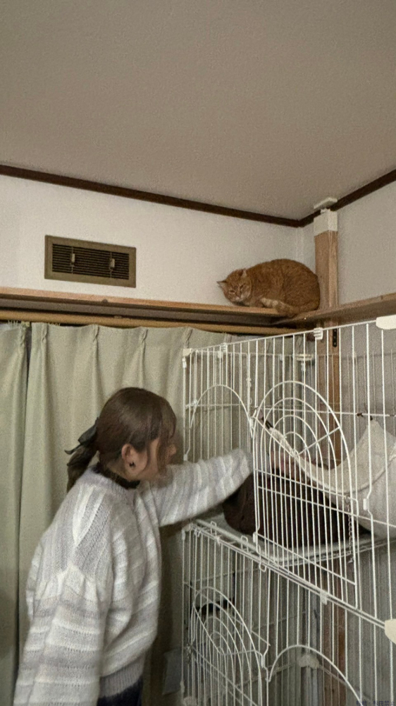 女の子ブログ画像