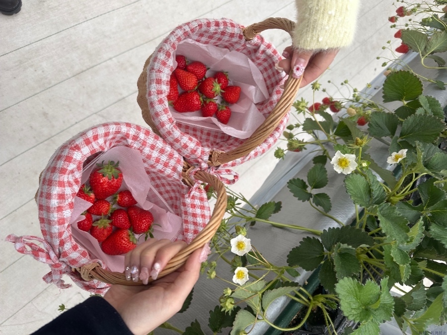 新着女の子ブログ画像