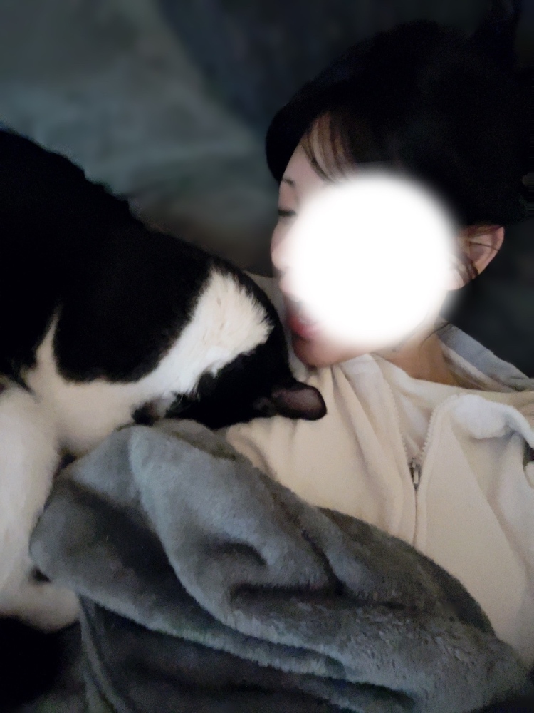 女の子ブログ画像