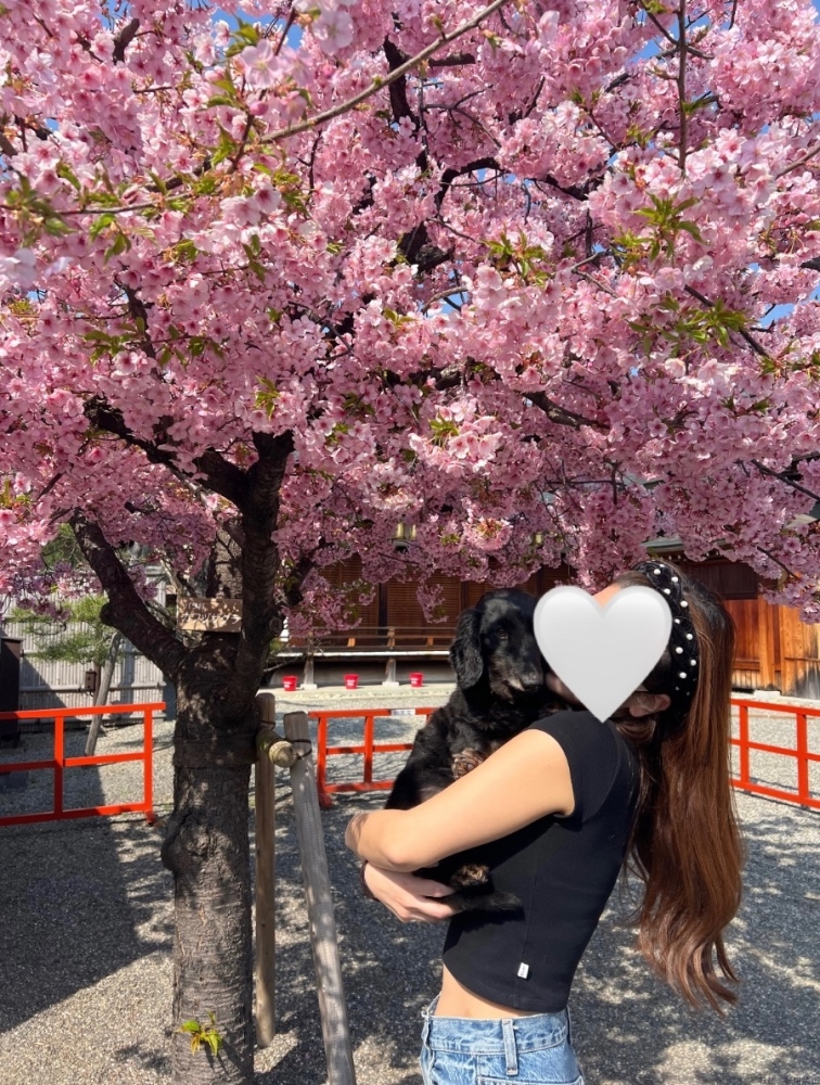 女の子ブログ画像