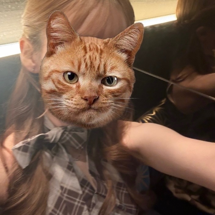 女の子ブログ画像