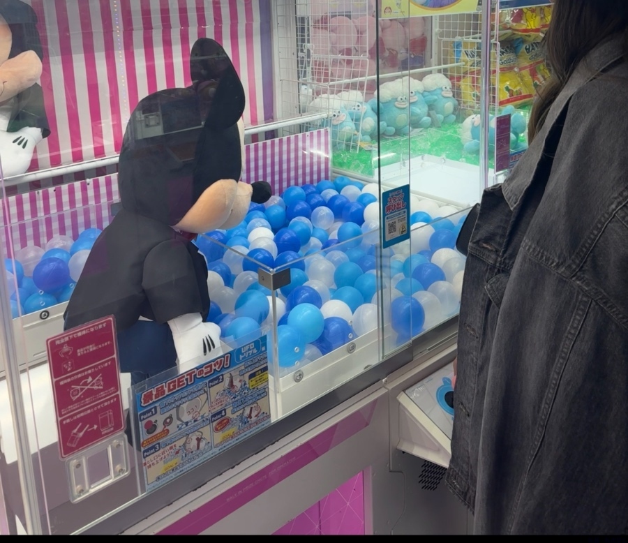 新着女の子ブログ画像