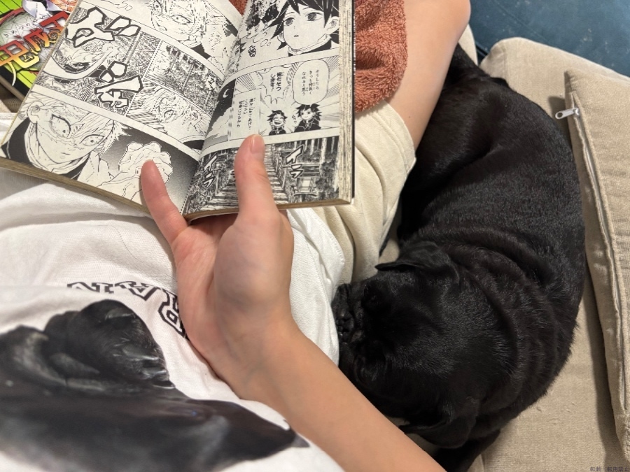 女の子ブログ画像