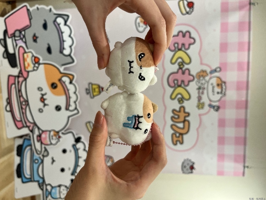 新着女の子ブログ画像