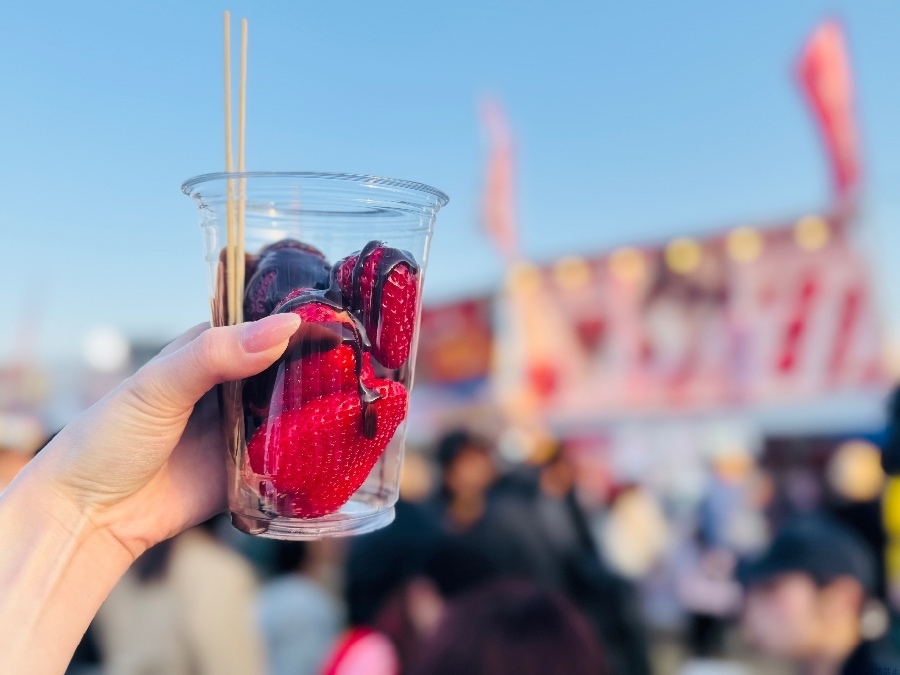 新着女の子ブログ画像