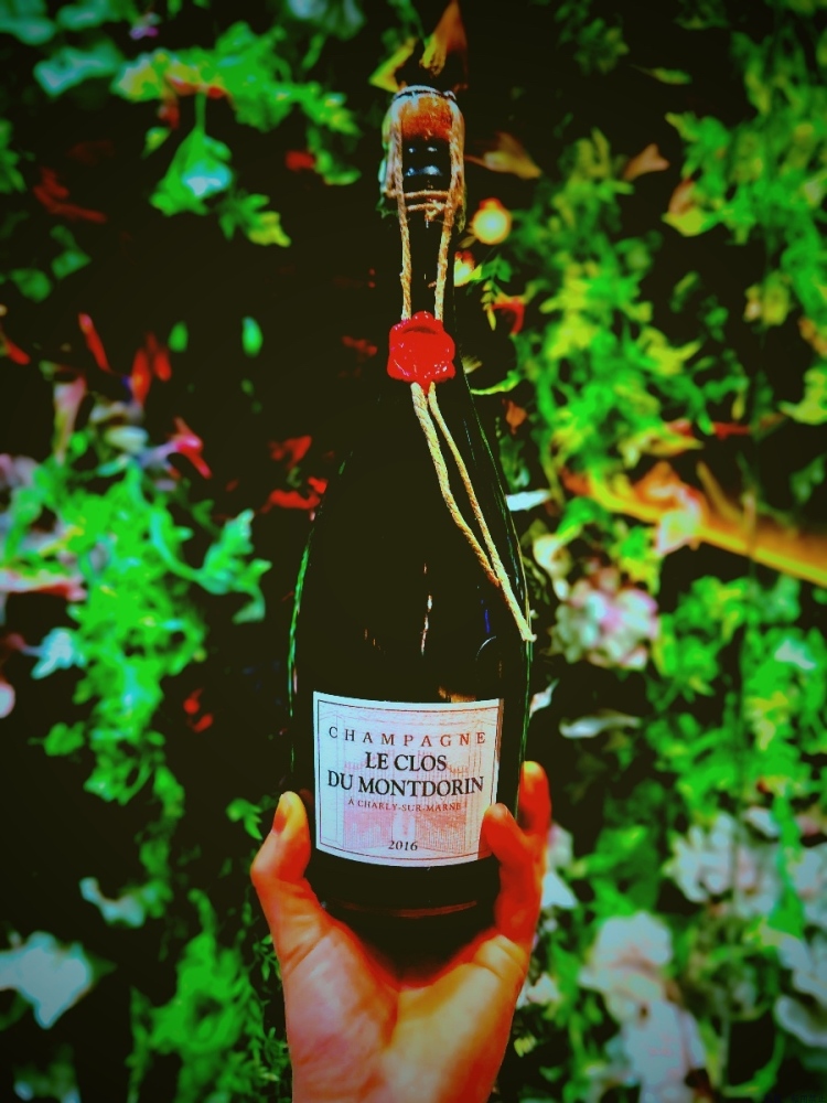 スタッフブログ画像