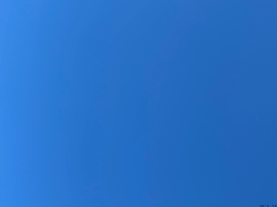 スタッフブログ画像