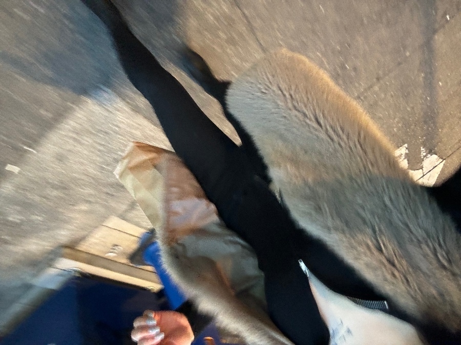 新着女の子ブログ画像