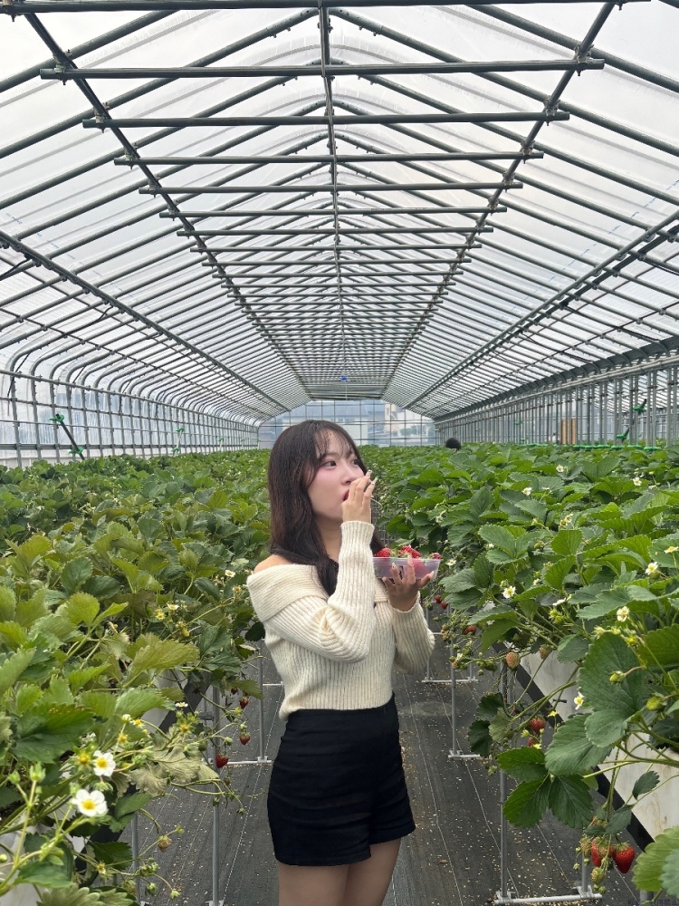 新着女の子ブログ画像