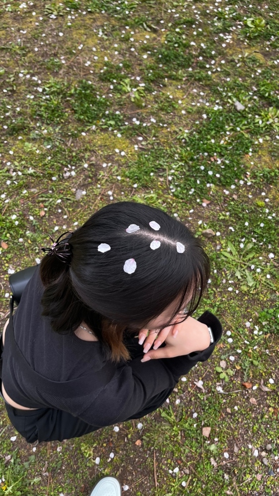 女の子ブログ画像