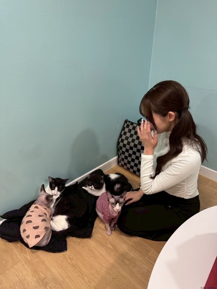 新着女の子ブログ画像