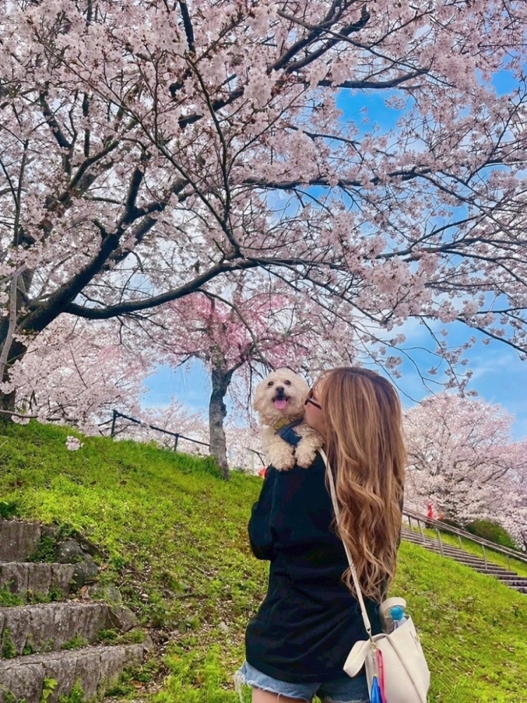 女の子ブログ画像