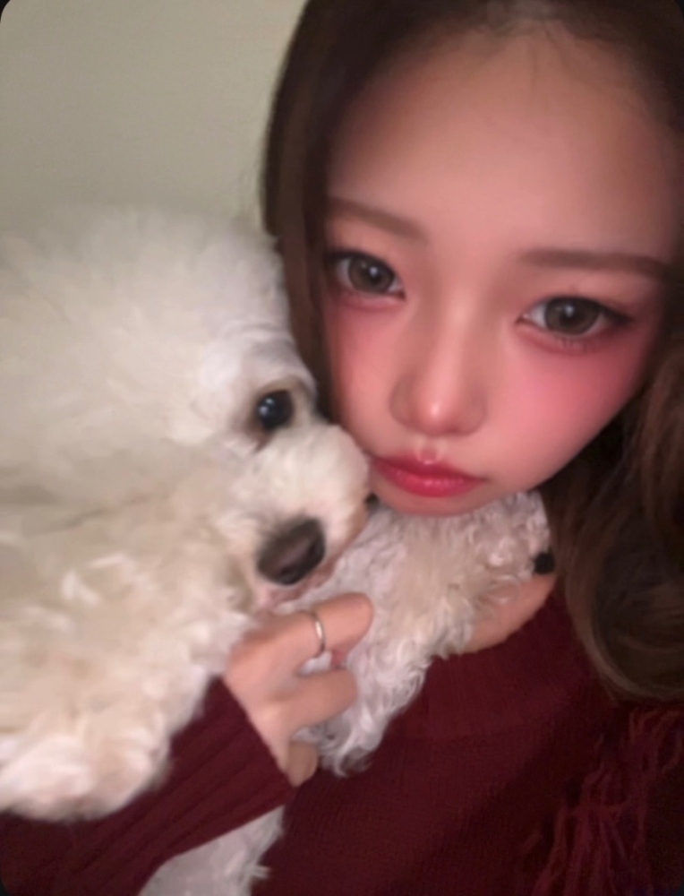 女の子ブログ画像