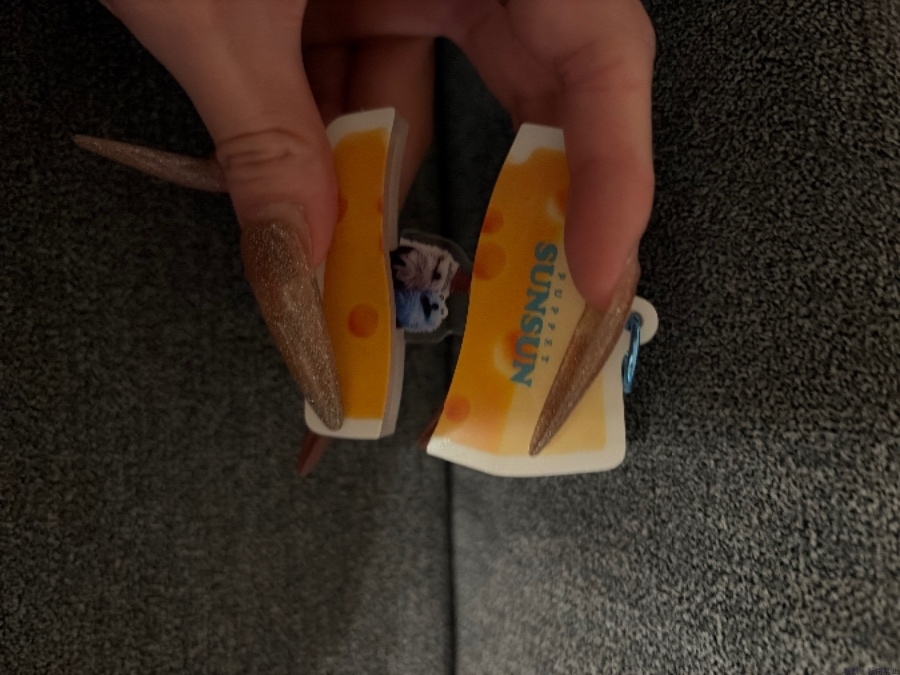 新着女の子ブログ画像