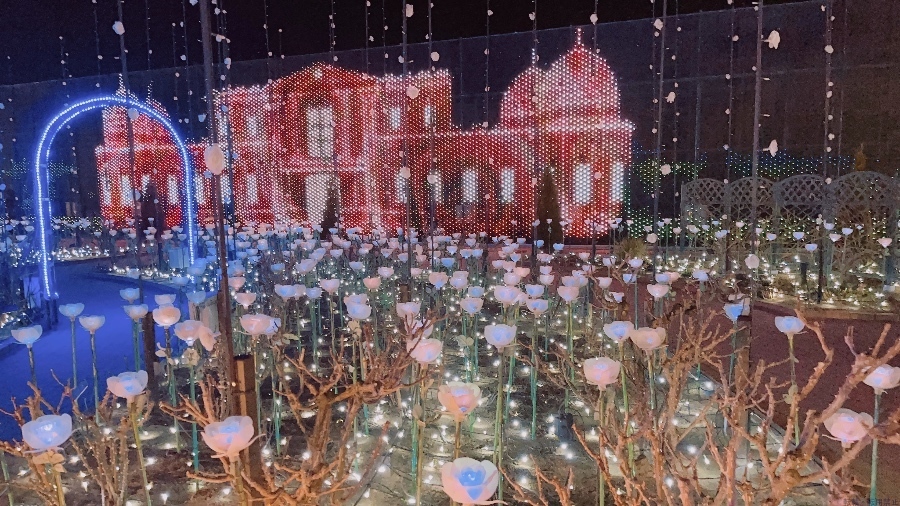 女の子ブログ画像