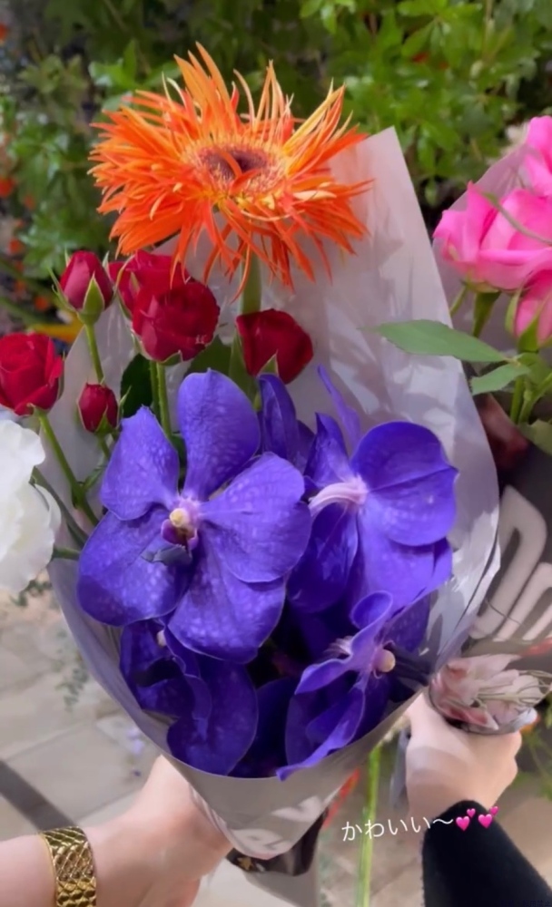 女の子ブログ画像