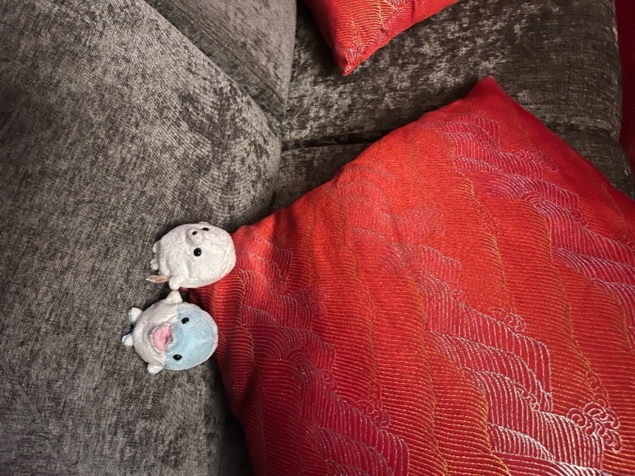 新着女の子ブログ画像