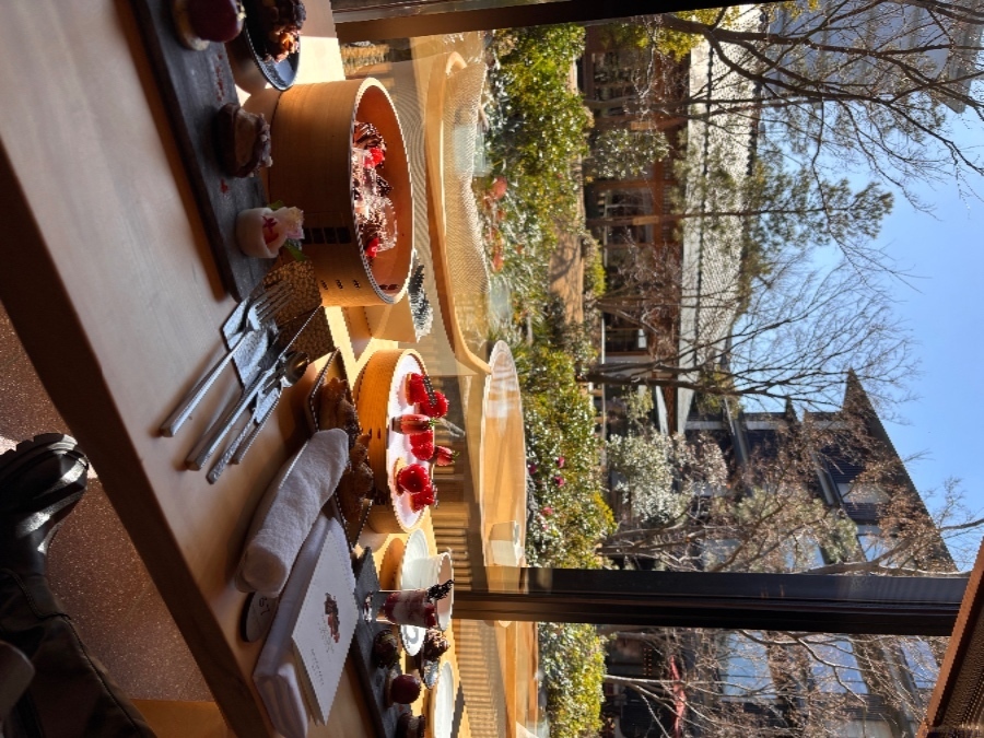 新着女の子ブログ画像