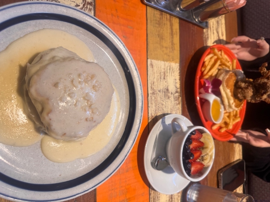 新着女の子ブログ画像