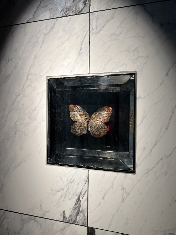 スタッフブログ画像