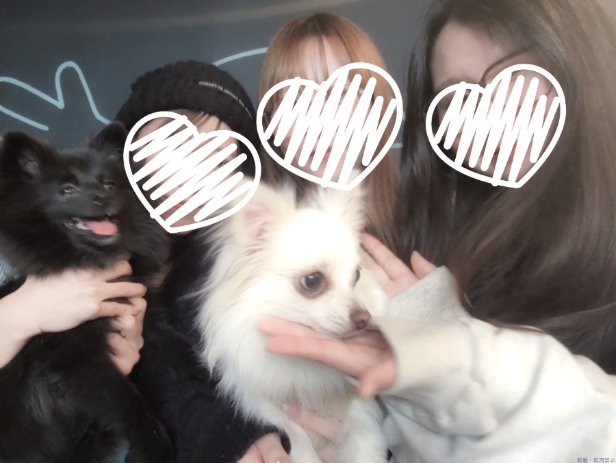 女の子ブログ画像