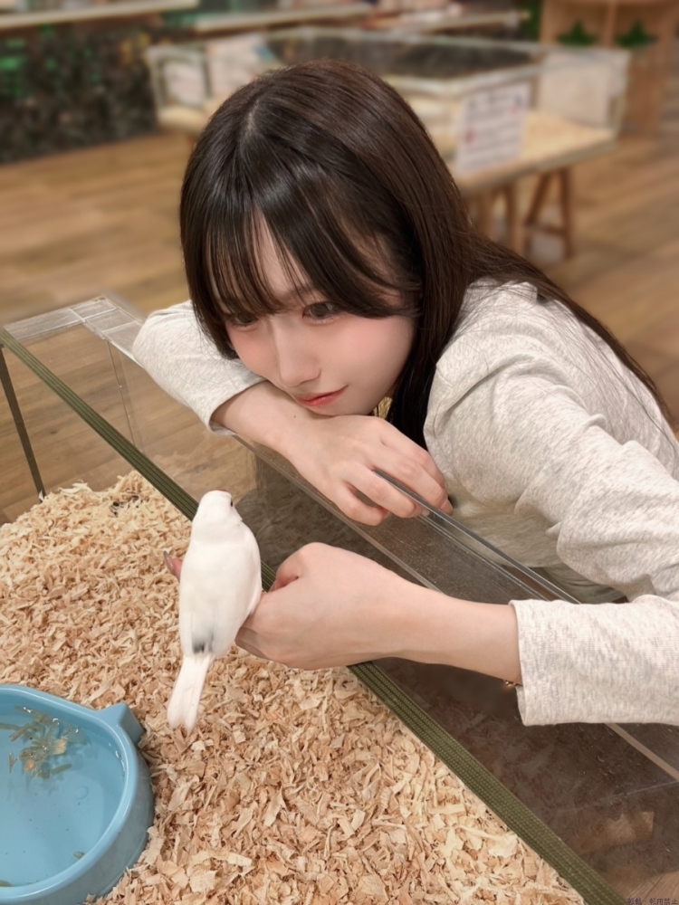 新着女の子ブログ画像