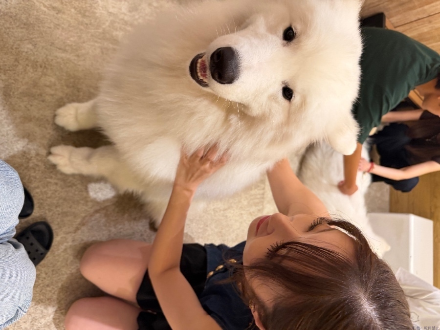 新着女の子ブログ画像