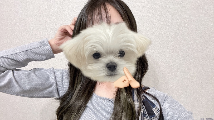新着女の子ブログ画像