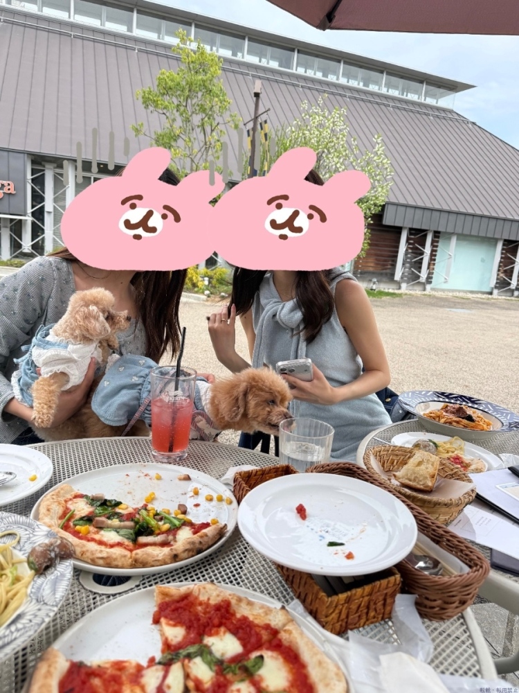 新着女の子ブログ画像