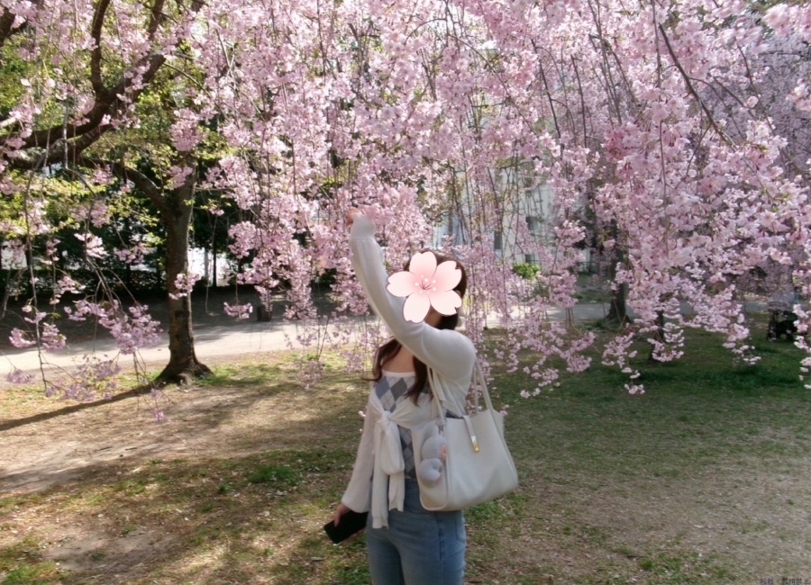 女の子ブログ画像