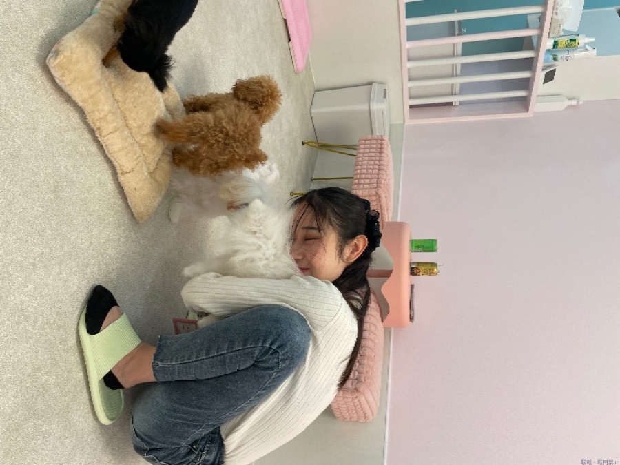 女の子ブログ画像