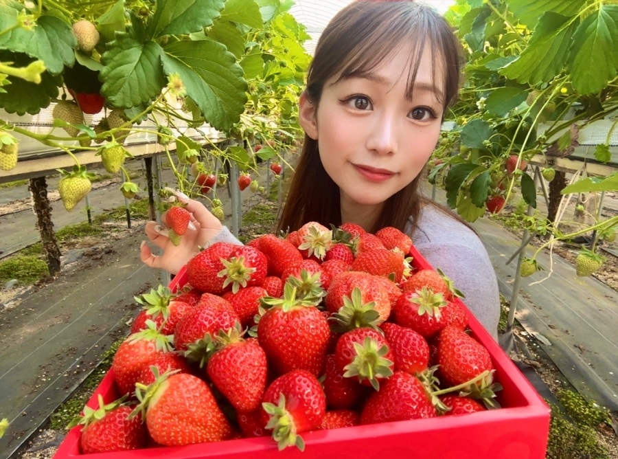女の子ブログ画像