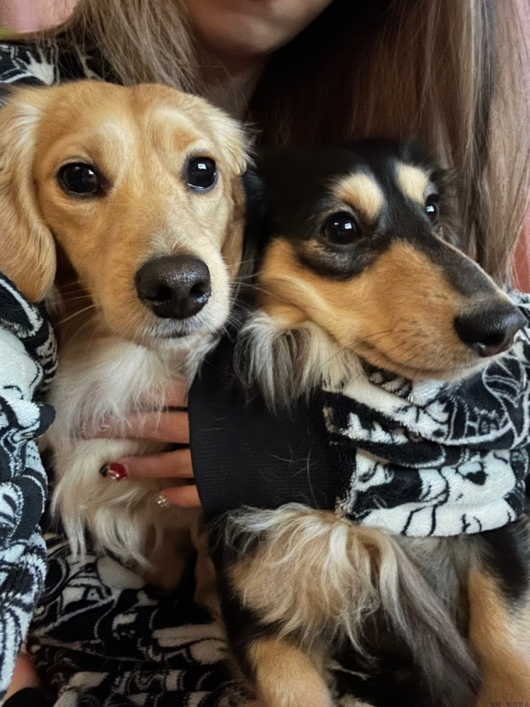 新着女の子ブログ画像