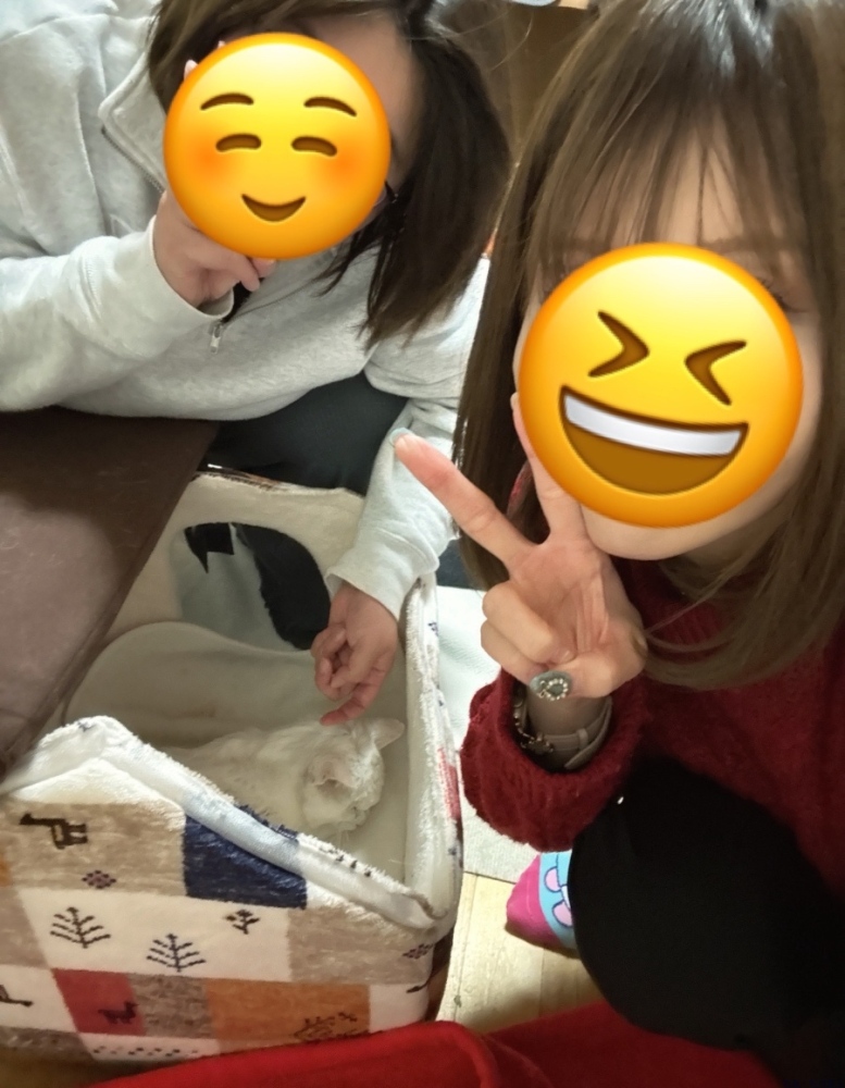 女の子ブログ画像