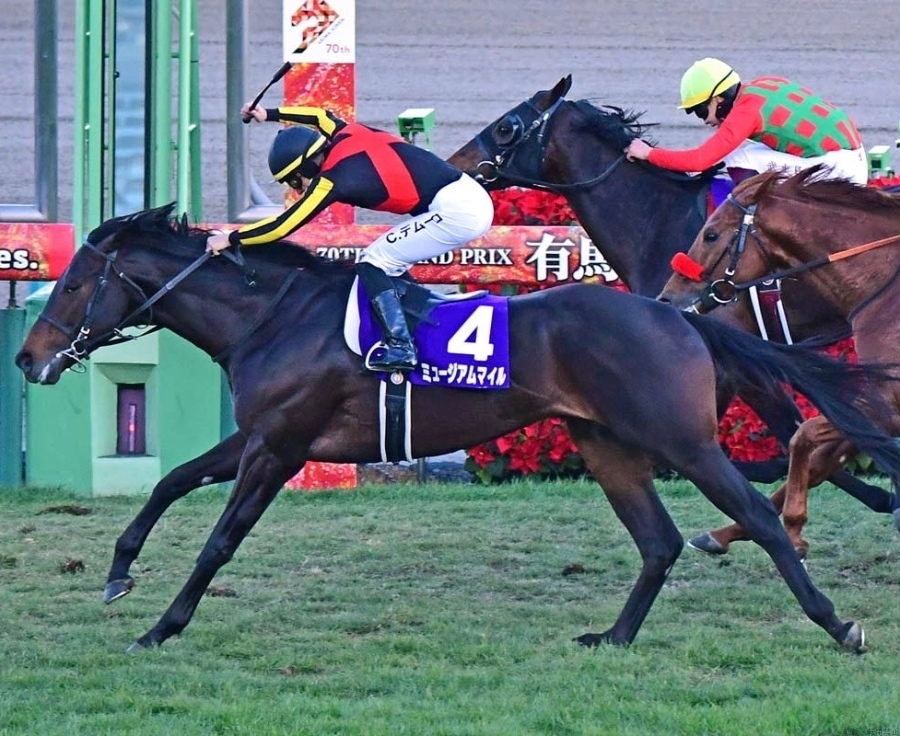 スタッフブログ画像