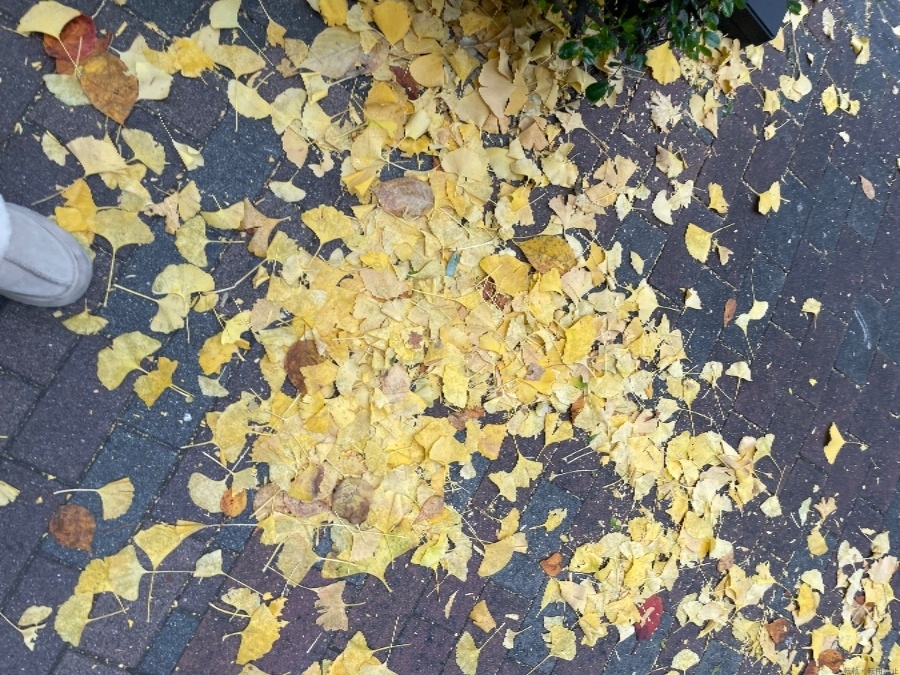 スタッフブログ画像