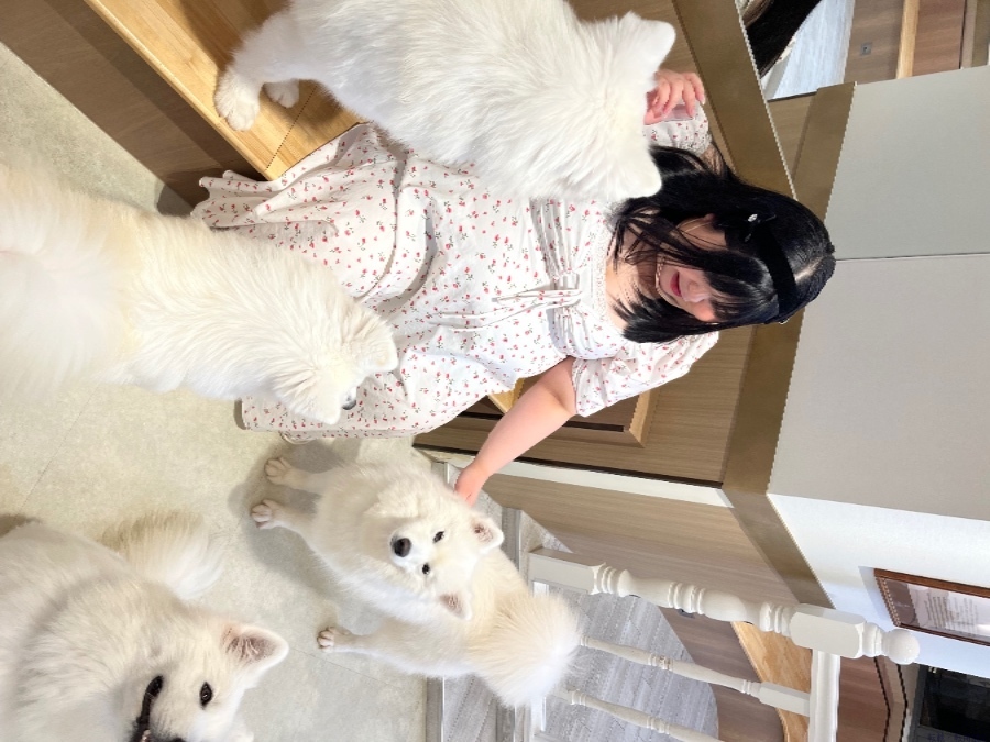 女の子ブログ画像