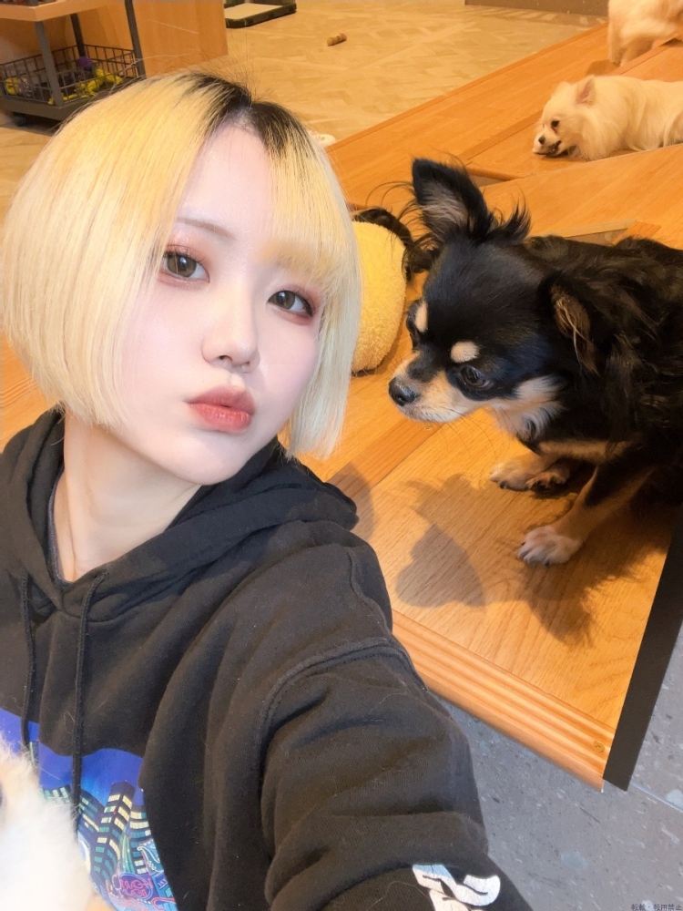 女の子ブログ画像