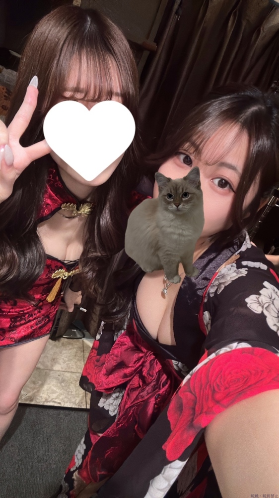 女の子ブログ画像