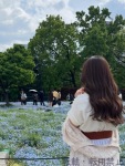  こむぎのプロフィール画像