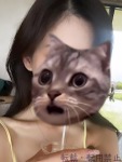  しゅうのプロフィール画像