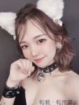 きゃっと はちのプロフィール画像