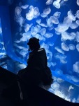 小桜 ゆりののプロフィール画像
