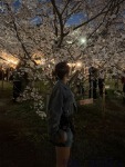 めいのプロフィール画像