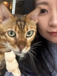 皆月 りののプロフィール画像