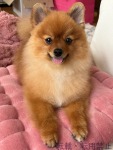 りさのプロフィール画像