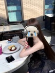 白石 ことねのプロフィール画像