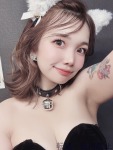 きゃっと はちのプロフィール画像