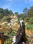 山崎 ありさのプロフィール画像