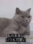  ひかりのプロフィール画像